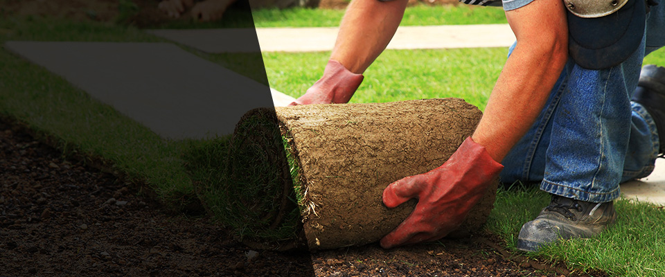 Tulsa Landscapers